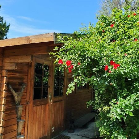 La Cabane Du Pesquier En Provence Caumont-sur-Durance Zewnętrze zdjęcie