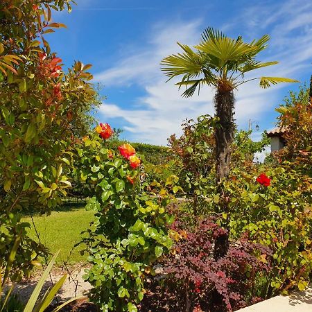 La Cabane Du Pesquier En Provence Caumont-sur-Durance Zewnętrze zdjęcie