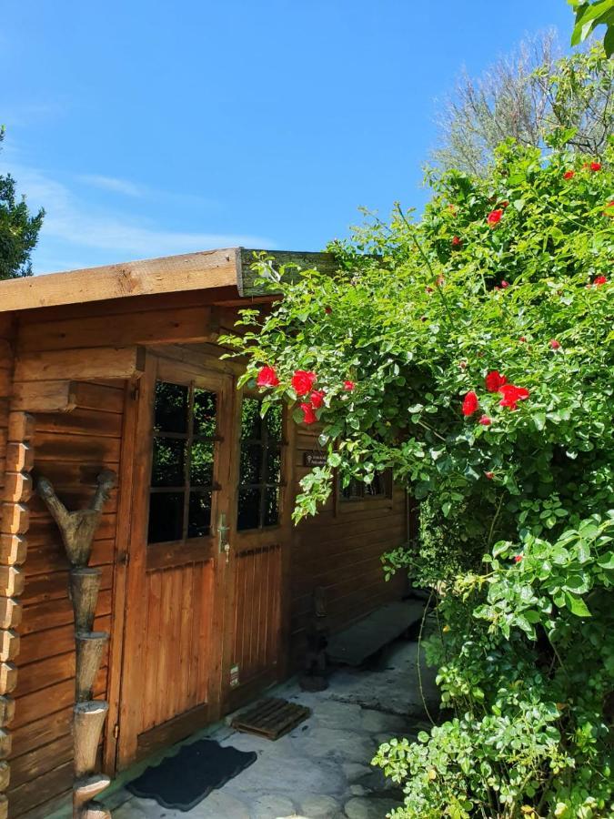 La Cabane Du Pesquier En Provence Caumont-sur-Durance Zewnętrze zdjęcie