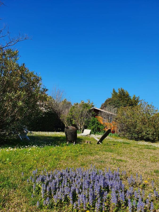 La Cabane Du Pesquier En Provence Caumont-sur-Durance Zewnętrze zdjęcie